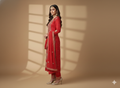 PREMIUM PARTY WEAR SUIT VAKYA